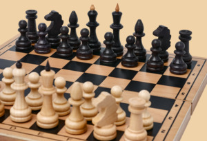 Шахматы Игрок мини из бука №1