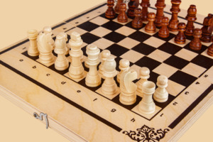 Шахматы Турист