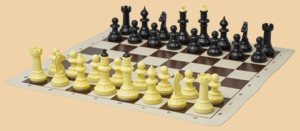 Шахматы Начальные