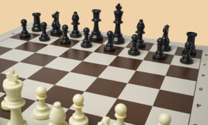 Шахматы Магистратура (утяжелённые)