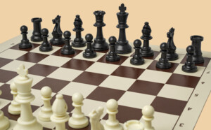 Шахматы Интрига