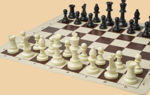 Шахматы Интрига