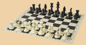 Шахматы Мыслитель