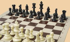 Шахматы Экзаменационные