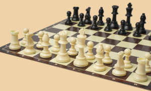 Шахматы Семинарские