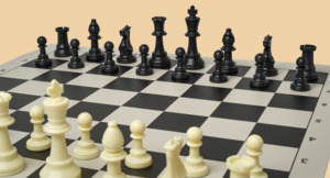 Шахматы Лицейские