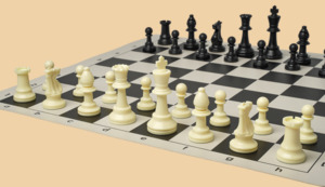 Шахматы Лицейские