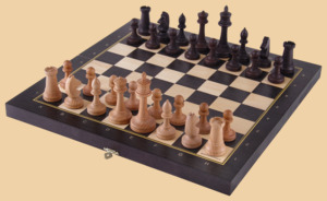 Шахматы Правильный ход (средние, фигуры с утяжелителем)