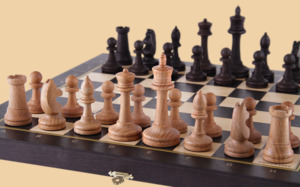 Шахматы Правильный ход (средние, фигуры с утяжелителем)