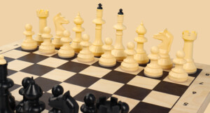 Шахматы Айвенго (тёмно-белые, чёрн клетки)