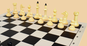 Шахматы Кандидатские