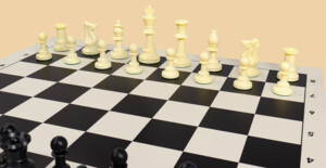 Шахматы Сессия