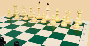 Шахматы Выпускник