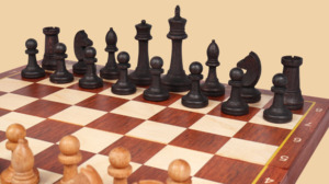 Шахматы Чемпион (средние, фигуры с утяжелителем)