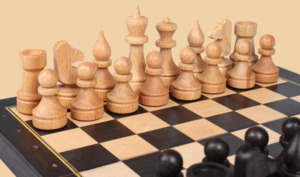 Шахматы Правильный ход (малые)