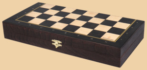 Шахматы Правильный ход (малые)