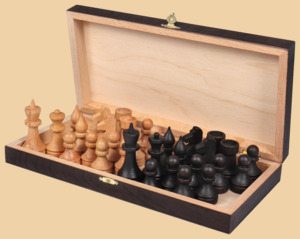 Шахматы Правильный ход (малые)