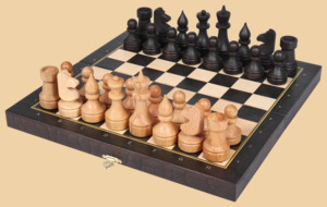 Шахматы Правильный ход (малые)