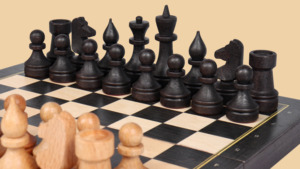 Шахматы Правильный ход (малые)