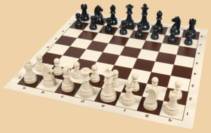 Шахматы Башни