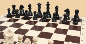 Шахматы Башни