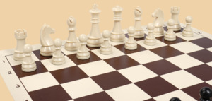 Шахматы Башни