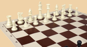 Шахматы Экзамен