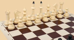 Шахматы Медалист