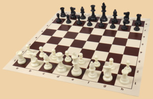 Шахматы Поездка