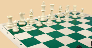 Шахматы Тревел