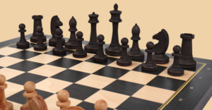 Шахматы Правильный ход (большие, фигуры с утяжелителем)