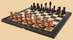 Шахматы Правильный ход (большие)