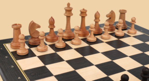 Шахматы Правильный ход (большие)