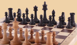 Шахматы Гроссмейстерские Бук (средние)