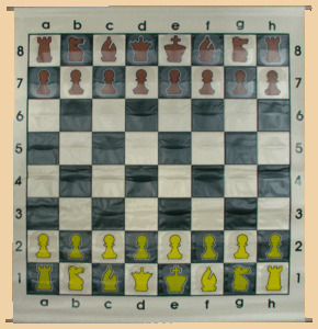 Шахматы демонстрационные с кармашками В тубусе (90 на 90 см)