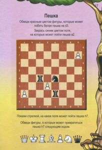 Шахматная тетрадь для серии учебников Карвин в шахматном лесу (Касаткина)