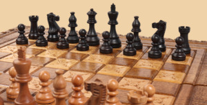 Шахматы, нарды, шашки Стражи (тёмные, большие)