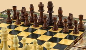 Шахматы, нарды, шашки Бородино