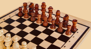 Шахматы Турист