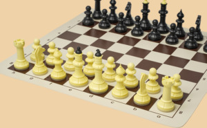 Шахматы Начальные
