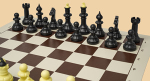 Шахматы Начальные