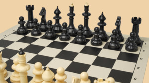 Шахматы Студенческие