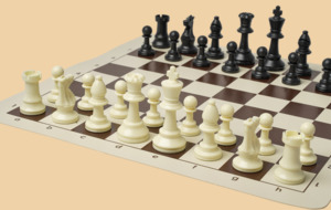 Шахматы Экзаменационные