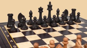 Шахматы Сила мысли (средние, клетка 4 см)