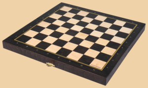 Шахматы Правильный ход (малые)