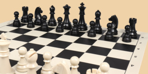 Шахматы Турнир