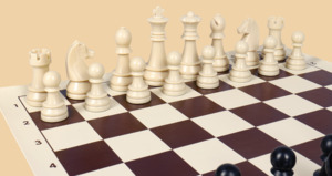 Шахматы Схавтка