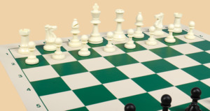 Шахматы Вступительные