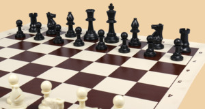 Шахматы Выпускные