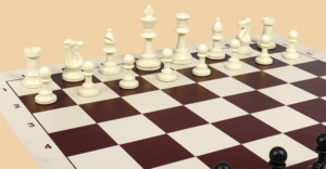 Шахматы Выпускные